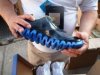 Aduanas desbarata millonario contrabando de zapatillas de marcas top