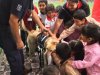 Canes de Aduanas visitaron jardín infantil North American College