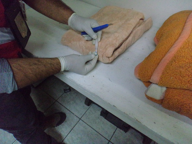 Imagen foto_00000001