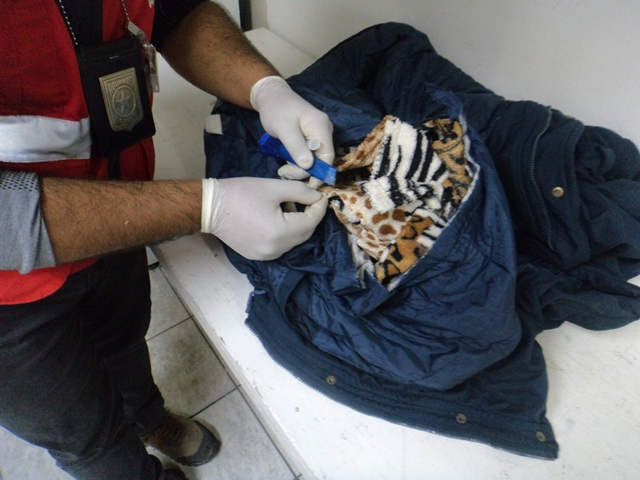 Imagen foto_00000002