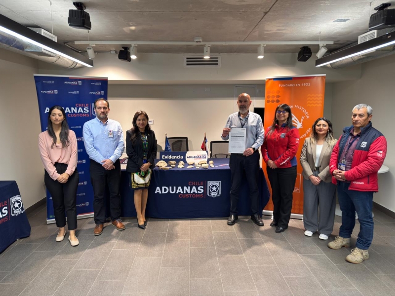  Imágen 1 - Galería