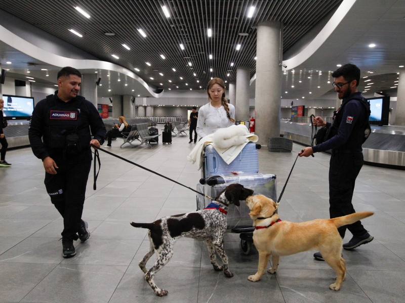  Imágen 7 - Galería