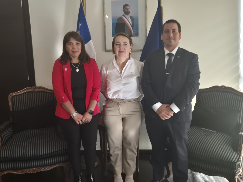  Imágen 3 - Galería