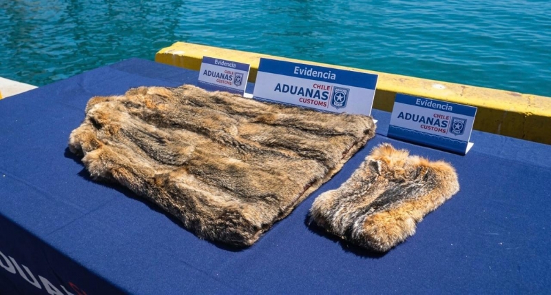  Imágen 3 - Galería