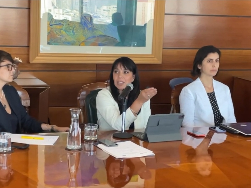  Imágen 2 - Galería