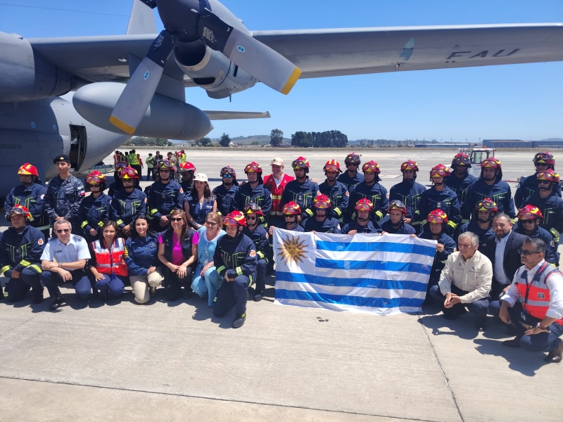  Imágen 3 - Galería